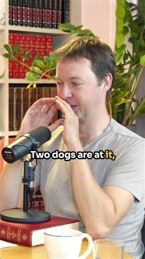 Two Ways To Break Up A Dog Fight | NSTAAF #645
