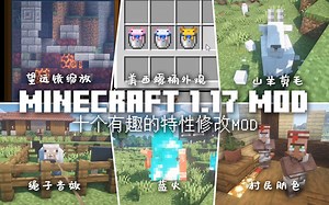 【MC MOD】我的世界1.17 Fabric下的几个有趣的特性修改模组介绍 Minecraft1.17mod 那夕解说 | 八里奥玩游戏