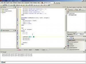 Delphi Training Series: Programming 101 - Episode 5