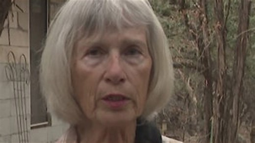 Texas woman attacked by rabid fox amid Hays County rabies outbreak