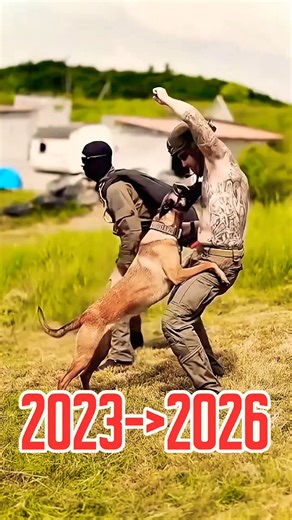 Training Dog k9 💯🫶#malinois #gooddog #training #cutedog #youtubeshorts