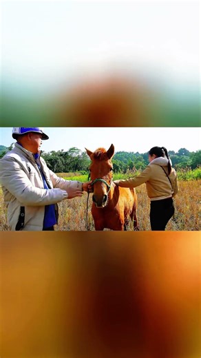 Everyone Wanted These Giant Horses — 1000+ Sold in Minutesq