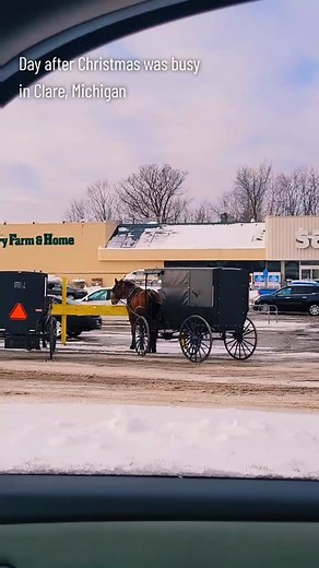 Exploring Amish Life in Clare, Michigan