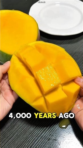 Mango’s Secret History You’ve Never Heard Before 🥭🤯 #shorts #viralvideos #youtubeshorts #fruits