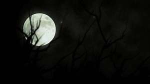 Dark Animated Scene Glowing Full Moon Stock Footage Video (100% Royalty-free) 3899561997 | Shutterstock