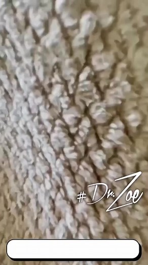 Are you still being complacent?! Let us assist you to facilitate your evolution! After all... No one can create your reality but YOU! #GetKatapulted 🌟✨💫 Luxury Wellness Brand Facilitating your Evolution ◽ Consultant & Leadership Certifications ◽VIP Branding ◽Confidential Consulting ◽Lux Retreats Connect with us today! ➡️ Katapultent.com #DrZoe #GetKatapulted #icon #spirituality #celebrity #luxury #entrepreneurmindset #personalmastery #mindshift #growthmindset #personalgrowth #spiritual #love #