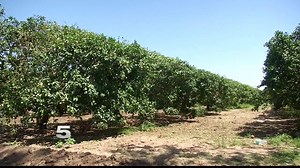 6.5K views · 20 reactions | Good morning. Here's a quick look at this morning's headlines! | KRGV | Facebook