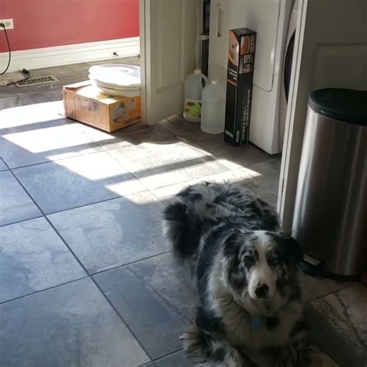 The Riddick - November 30, 2022