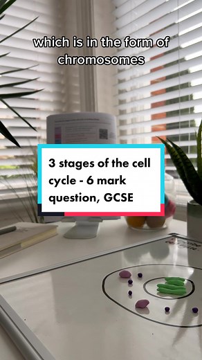 Need help with 6 mark questions in GCSE biology or combined science? ⚠️ I’ll be going through loads on here in the run up to exams so follow along and I’ll help you reach the grade 9 📈#gcsebiology #gcsescience #gcses2023 #gcsetips #gcserevision #year11 #biologyrevision #aqabiology #biologyclass #mitosis #biologytok