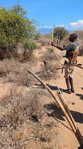 Hadzabetribe hunters arrows competition 😱 #Hadzabe #hadzabelifestyle #hadzabetribe #HadzabeCulture #hadzabebushman #bushcraft #bushlife #bushman #bushmanprank #wildlife #africa #fyp #viralvideo | Vinod Kumar