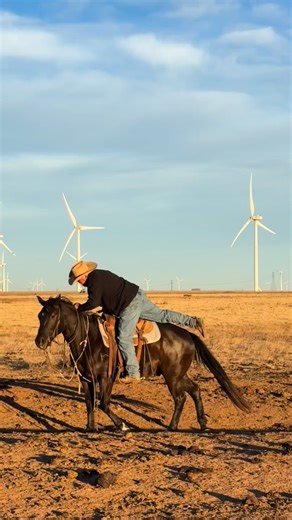 82 reactions · 9 comments | It was time again for what some call the “Trail of Tears” drive, moving cattle from the plains country to the canyons for winter. Over 7 miles of fun and we are thankful for great family & friends and super good times!! #bridlebitranches | Saddle Up Sugar | Facebook