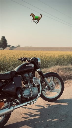 One_5_Five_0 on Instagram: "🐎❤️"