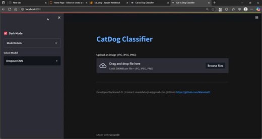 Cat vs Dog Classifier with TensorFlow and Streamlit | Manish D. posted on the topic | LinkedIn