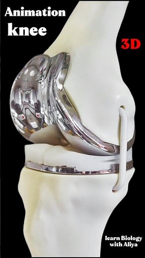 Animation | knee #medical #animation #3d #short | learn Biology with Aliya