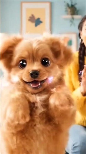 cute dog little dancer #pets #doggo #puppy #shorts