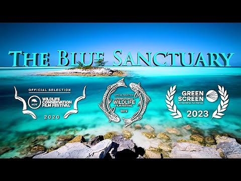 Blue Sanctuary: The Exuma Cays Land and Sea Park