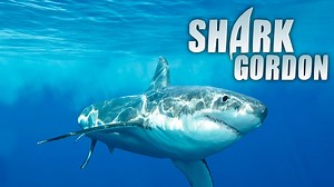 Shark Gordon's Most Dangerous Moments