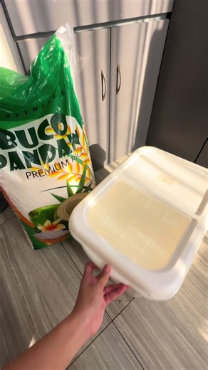 25kg Rice Container #fyp #container #rice #budolfinds #kitchen