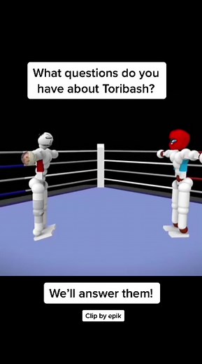 Ask Your Toribash Boxing Questions Now!
