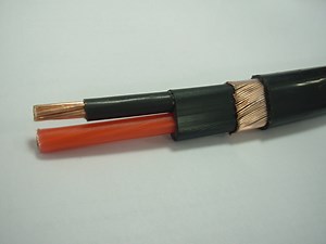 [Hot Item] 600V Ser Aluminum Service Entrance Cable Flat Electrical Cable 8AWG 6AWG Se 600V