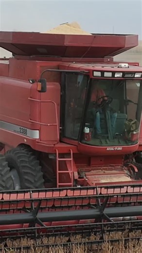 Casey Briggs on Instagram: "Big small old or new; we have a steering system thats right for you. Mr. Todd out enjoying hands free bean harvest yesterday in 2388 newly equipped with a GF Controls RTK system from @aglandtechnologies # #explorepage #southdakota #farmsofinstagram ##agriculture #farming #caseih"