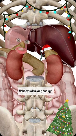 Leah Levitan | Lymph Literacy Advocate on Instagram: "Read this if you’re super stressed. ❤️‍🩹 Our self-care tends to go the wayside this time of year, and that doesn’t make much sense to our body… So many of us are skating on thin ice, so please know you’re not alone. I myself tacked on additional work recently so that I can be present for the holiday. So worth it, but I’m beat, and not taking the best care of myself… We have this tendency to push to get things done and that can also mean: 🤐 