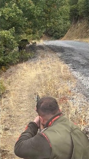 Face to Face with Danger: Hunter vs Wild Boar ⚠️🐗 #junglehunter #wildlife #deerhunting