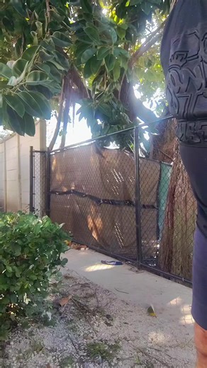 Funny Women Humor Clips to Brighten Your Day