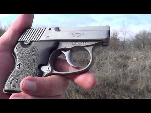 NAA Guardian 32acp Pistol