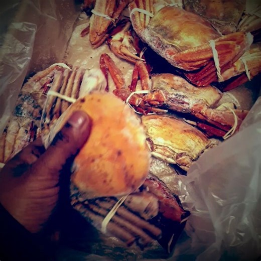 Andrew Chetty | 😂😂😂 Bruce Chetty ❤ #orangecrab #nextinline #oneofakind #strongblood #chettyboy 💪💪💪 | Instagram