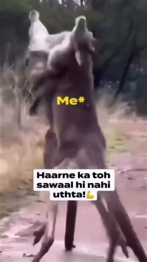 Shaadi ke baad reality check 🤡💍 | Relatable Indian Meme #shorts #funnyreels