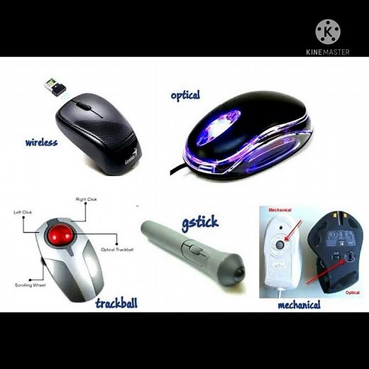 types of mouse |by learn computer skills