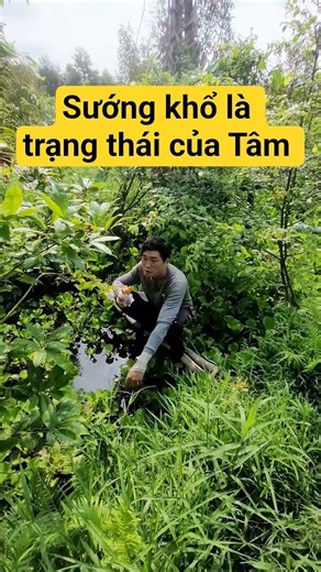 Sướng khổ là trạng thái của Tâm #farmnuong #netzero #nongnghiepbenvung #khonghoachat #chuyendoixanh