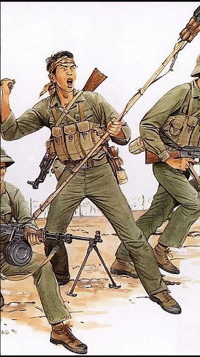 The Chinese Type 67 Hand Grenade - Weapons of the Vietnamese Army - Vietnam War