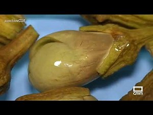 Desvelamos la receta de las berenjenas de Almagro | Ancha es Castilla-La Mancha - CMM