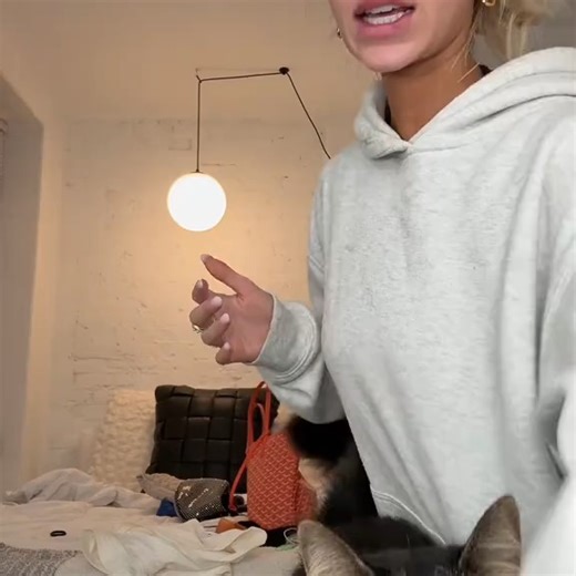 Sophie Merloat on Instagram: "Just making sure he knows the rules……"