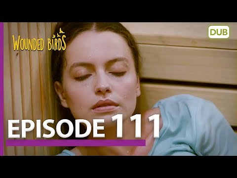 Wounded Birds Episode 111 - Urdu Dubbed | Turkish Drama