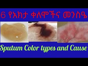 Sputum Color Meanings:የጉሮሮ ዓክታ ዓይነቶችና መንስዔዎች