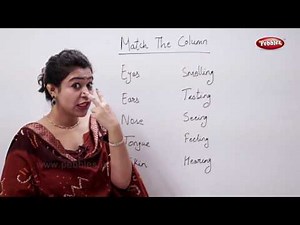Science Activities For Children | The Human Body | Learn Science For Kids
