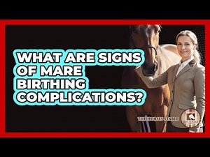 What Are Signs Of Mare Birthing Complications?