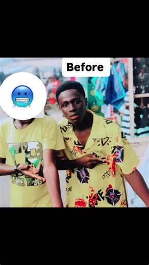 Exploring Noah's Ark in Pool Design