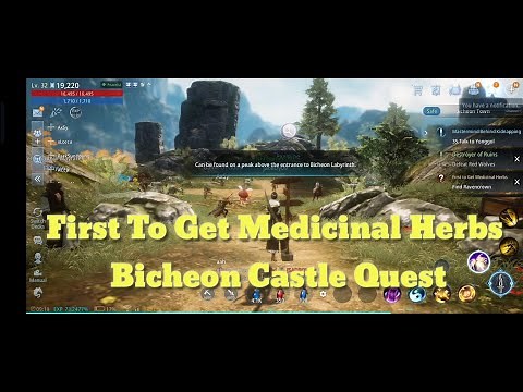 FIRST TO GET MEDICINAL HERBS MIR4 BICHEON CASTLE QUEST