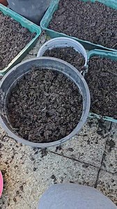 14K views · 255 reactions | The garden process with my little helper | The Hundt Family | Facebook