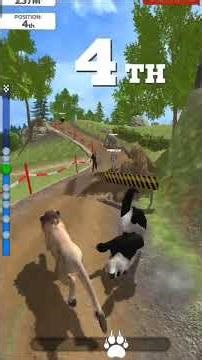 Animal Run Wild Race|| animals lion speed race run|| wild animals jungle run game