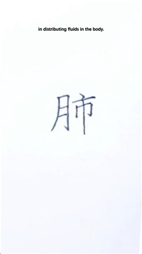 One Character in Chinese Medicine: Fei (肺)