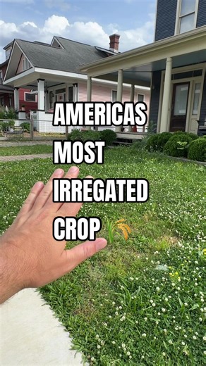 Lawns are the most irrigated “crop” in America. We pour billions of gallons of water into something we cut down every week. All for a look we inherited, not a need we chose. So I’m not going to fight the city. I’m not going to wait on the city either. I’m going to test the city and see what happens when I just… don’t mow it all. #EarthDay #environmental #waterconservation #lawnalternatives #strongtowns