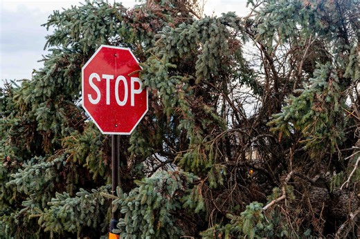 Cass County emergency declared after deadly Edwardsburg tornado