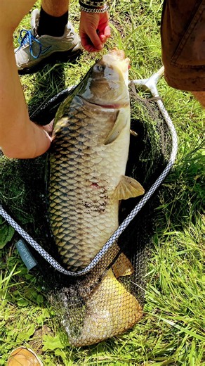 Pécheur en lac la plus grosse carpe de ma vie plus de 1m 20