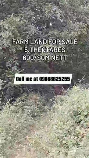 5 hectares Farm Land In Tanato, Balanga, Bataan Only 600/sqm nett *Pag-usapan ang Terms of Payment *With Lots of Fruit Bearing Trees Currently rough road Titled Land 5.1915 hectares or 50,000sqm at 600/sqm nett #farmland #bataan #tanatobataan #Titledland | RealHomz Property Management