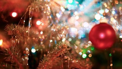 The fright before Christmas | movie | 2020 | official trailer